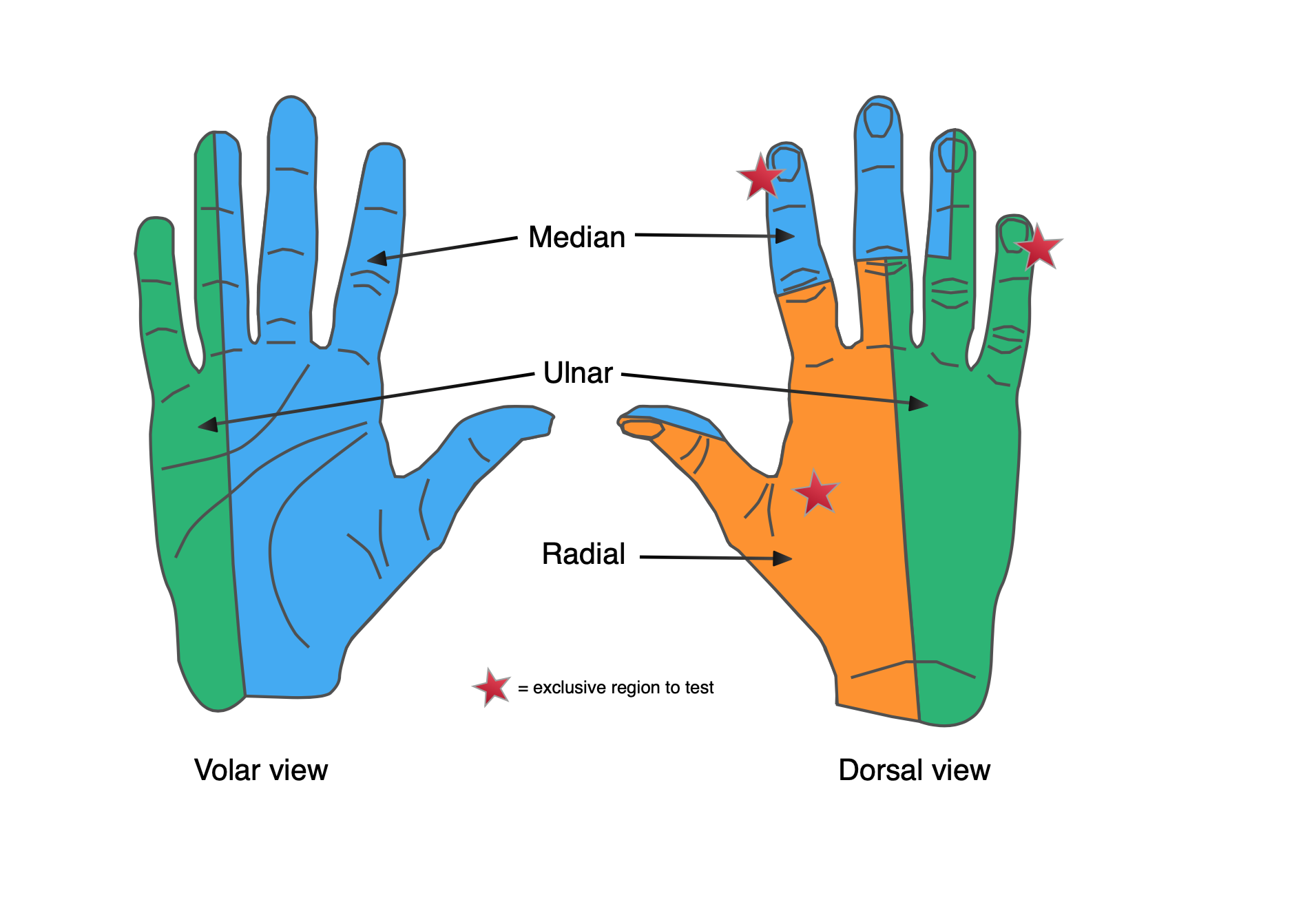 Shoulder Dislocation – OrthoSHO